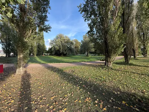 Elbpark Entenwerder