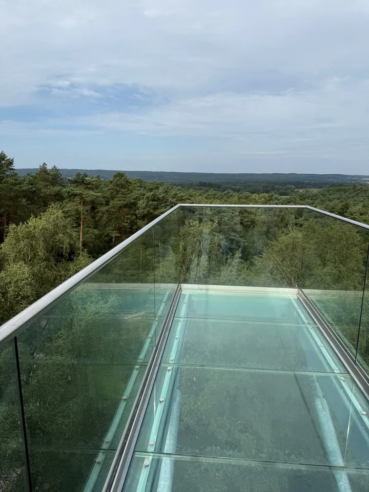 Aussichtsbalkon mit Glasboden und Glasbrüstung über Baumkronen, dahinter weite bewaldete Landschaft