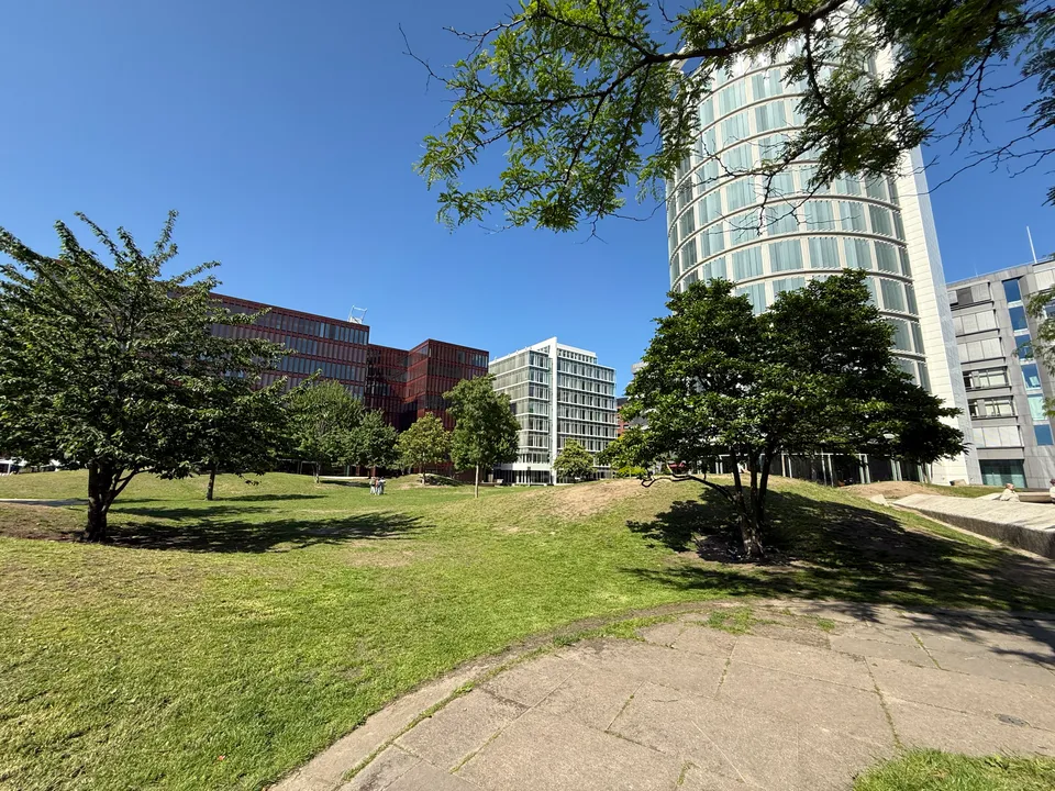 Parkwiese mit Bäumen und gebogenem Plattenweg vor rundem Büroturm und modernen Bürogebäuden