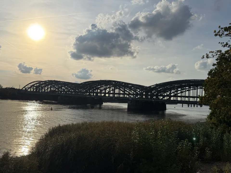 Fachwerkbogenbrücke über die Elbe im Gegenlicht, die tiefe Sonne spiegelt sich im Wasser, vorn Schilf