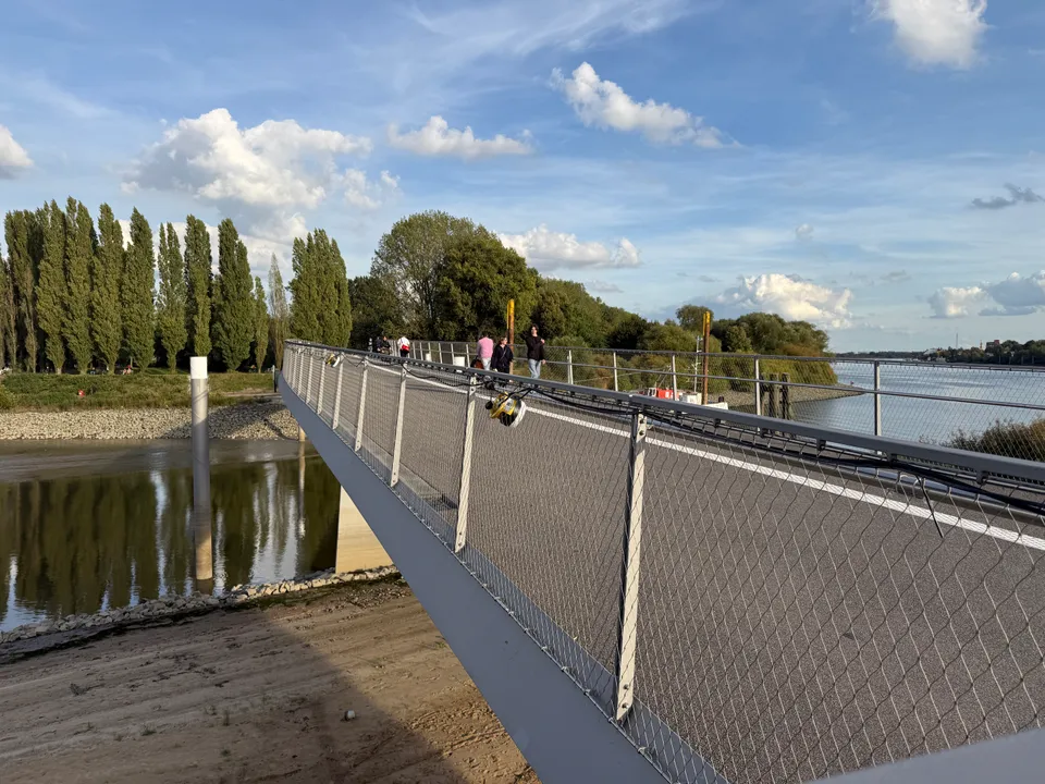 Geschwungene Fuß- und Radwegbrücke mit Netzgeländer über ein Hafenbecken bei Niedrigwasser, dahinter Pappeln und Elbe
