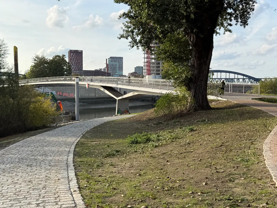 Gepflasterter Uferweg und Wiese mit großem Baum, dahinter Fußgängerbrücke, Hochhäuser und blaue Bogenbrücke