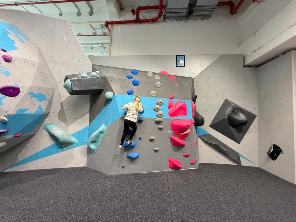 Person klettert von hinten gesehen an einer Boulderwand mit blauen, grauen und pinken Griffen über grauer Matte