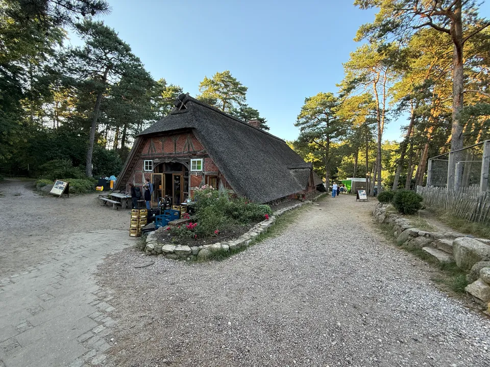 Reetgedecktes Fachwerkhaus an Weggabelung mit Rosenbeet, Getränkekisten und Kiefern im Abendlicht