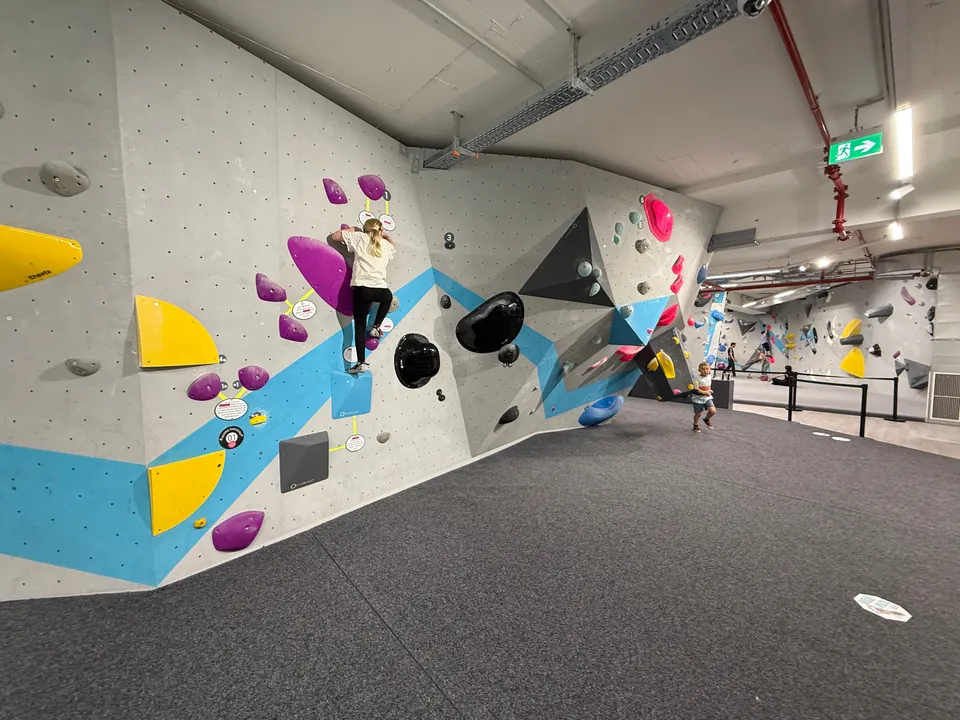 Person klettert von hinten gesehen an einer grauen Boulderwand mit blauem Streifen und bunten Griffen