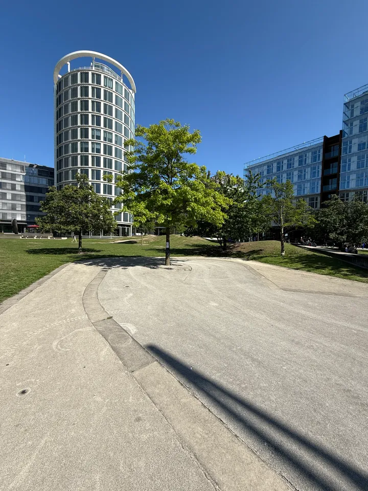 Geschwungener Betonweg mit jungem Baum im Park, dahinter runder heller Büroturm und Glasfassaden