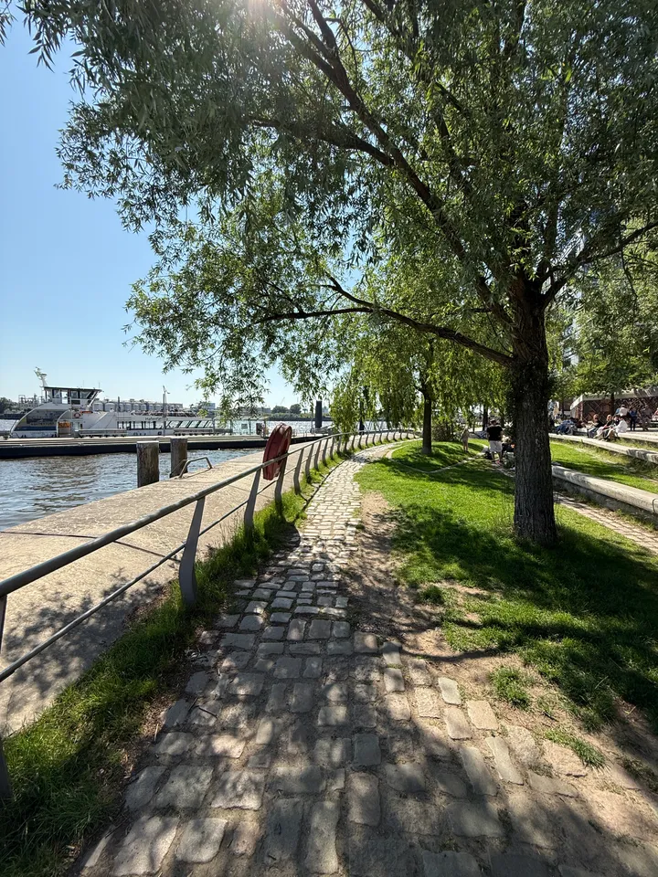 Gepflasterter Uferweg unter Weiden, Geländer mit Rettungsring und Fahrgastschiff am Ponton im Hintergrund