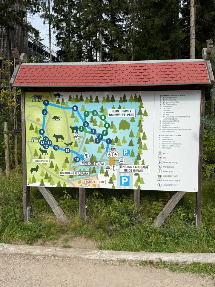 Überdachte Lagekarte des Baumwipfelpfads mit nummerierten Stationen, Wildpark und Aussichtsturm an einem Waldweg