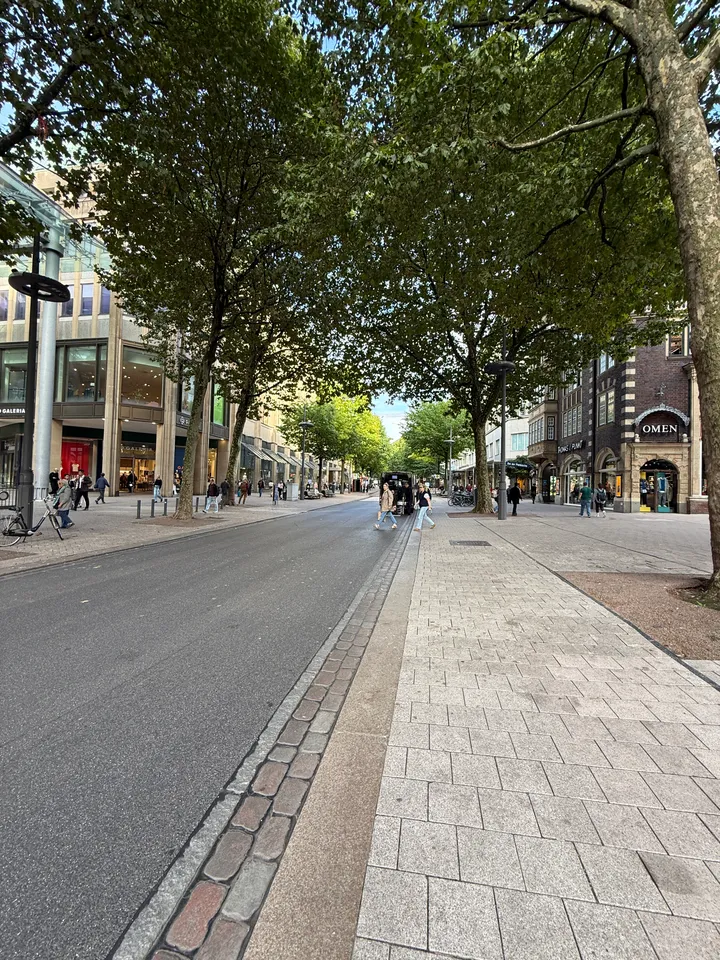 Einkaufsstraße unter Baumkronen mit gepflastertem Gehweg, Kaufhaus links, Backsteingeschäftshäusern rechts und vereinzelten Fußgängern