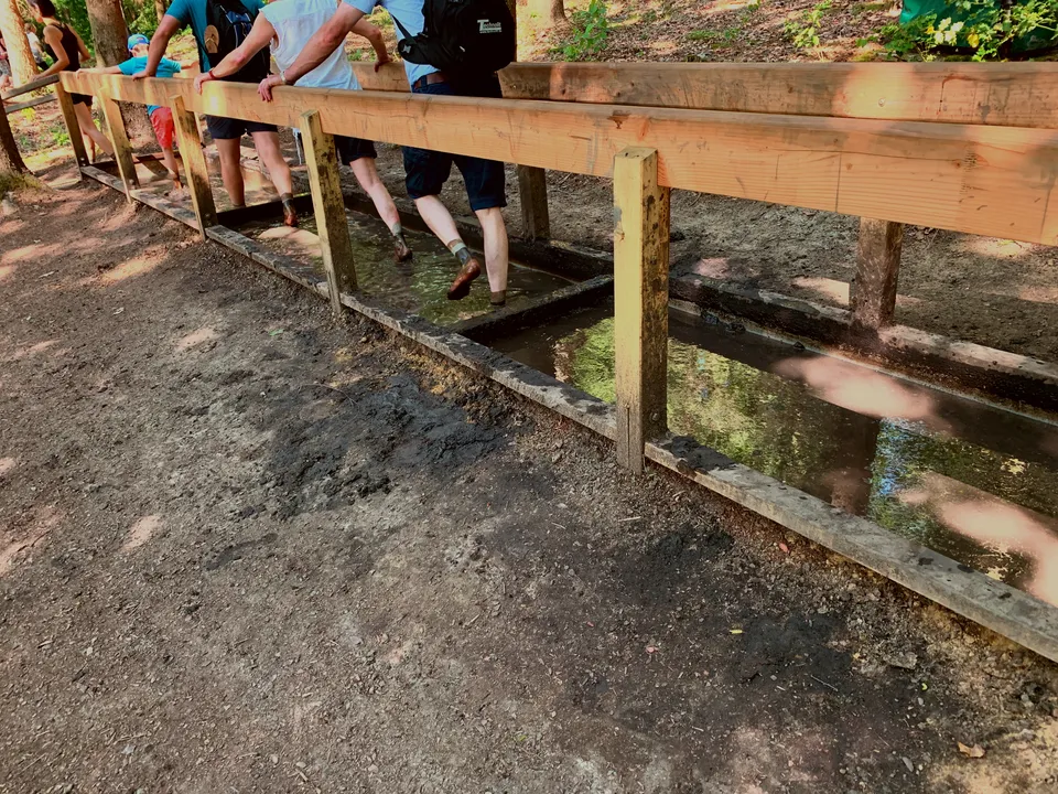 Besucher waten barfuß durch ein langes Wassertretbecken mit Holzgeländer am Rand eines Erdwegs im Wald