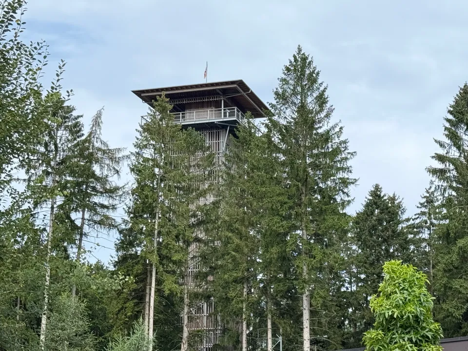 Hoher Aussichtsturm aus Holzlatten mit überdachter Plattform, teilweise verdeckt von hohen Fichten