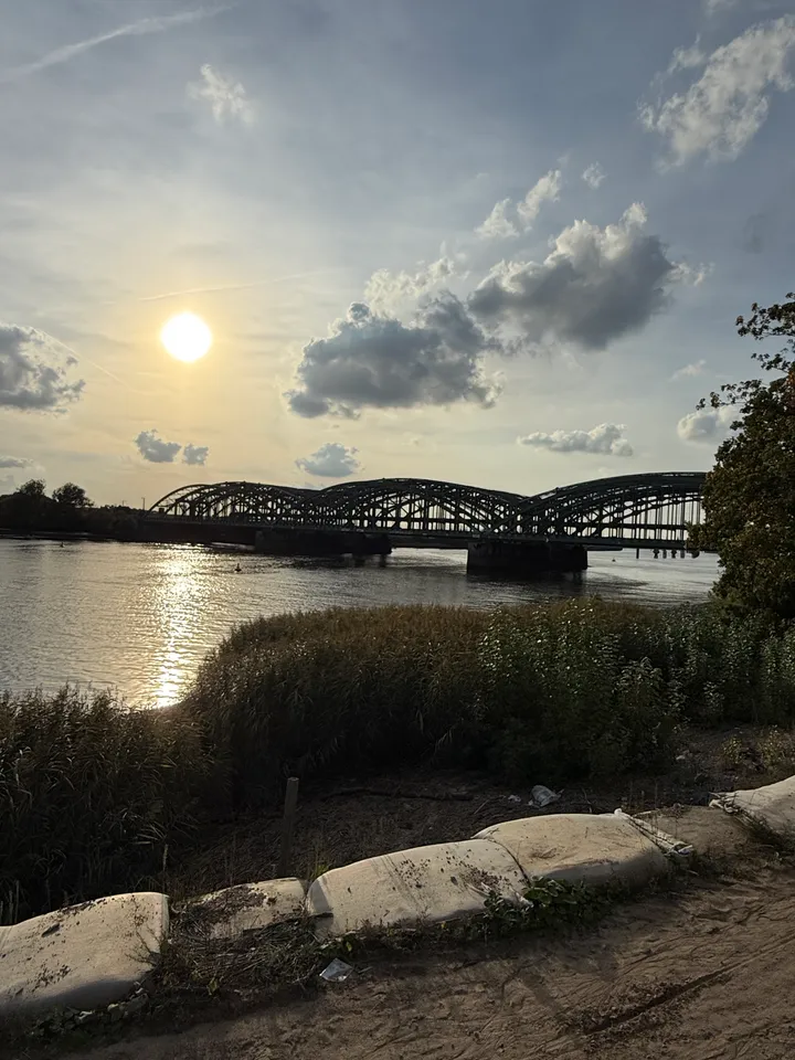 Silhouette einer Fachwerkbogenbrücke über der Elbe bei tiefer Sonne, vorn Sandsäcke, Uferweg und Schilf