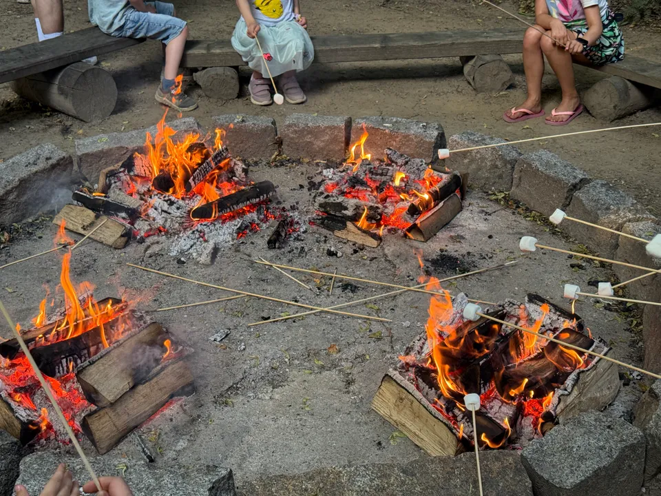 Runde Feuerstelle mit vier Holzfeuern, über denen an langen Stöcken Marshmallows geröstet werden